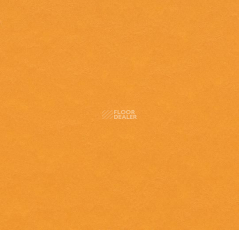 Marmoleum Modular t3354 pumpkin yellow фото 1 | FLOORDEALER